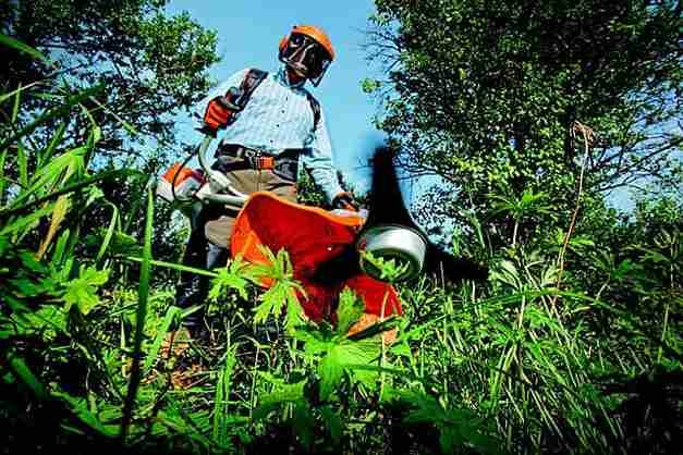 Mantenimiento de jardines en Guardamar